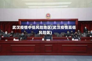 武汉疫情中低风险地区(武汉疫情高低风险区)