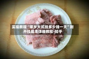 实操教程“家乡大贰挂多少钱一天”附开挂脚本详细教程-知乎