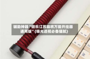 辅助神器“微乐江苏麻将万能开挂器通用版”(曝光透视必备猫腻)