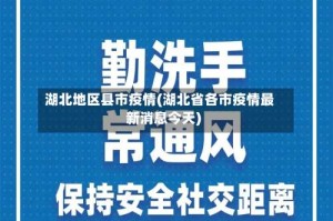 湖北地区县市疫情(湖北省各市疫情最新消息今天)