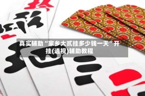 真实辅助“家乡大贰挂多少钱一天”开挂(透视)辅助教程