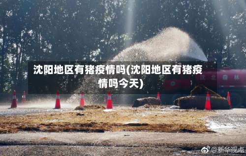沈阳地区有猪疫情吗(沈阳地区有猪疫情吗今天)-第2张图片