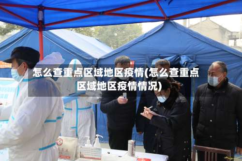怎么查重点区域地区疫情(怎么查重点区域地区疫情情况)-第2张图片
