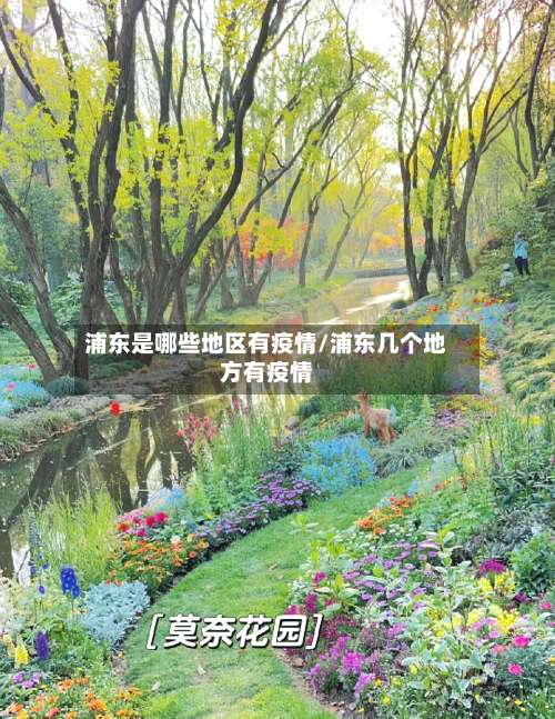 浦东是哪些地区有疫情/浦东几个地方有疫情-第1张图片