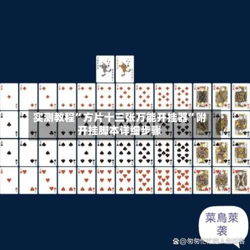 实测教程”方片十三张万能开挂器	”附开挂脚本详细步骤-第2张图片