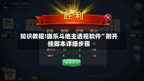 知识教程!微乐斗地主透视软件”附开挂脚本详细步骤-第3张图片