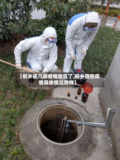 【桐乡是几级疫情地区了,桐乡现在疫情具体情况咋样】-第2张图片