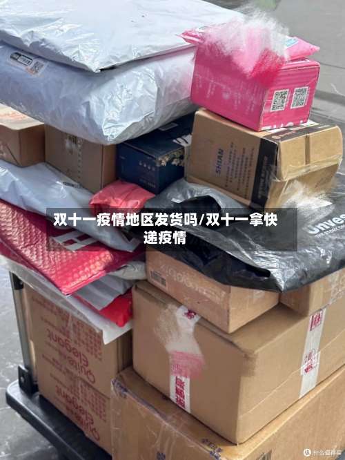 双十一疫情地区发货吗/双十一拿快递疫情-第2张图片