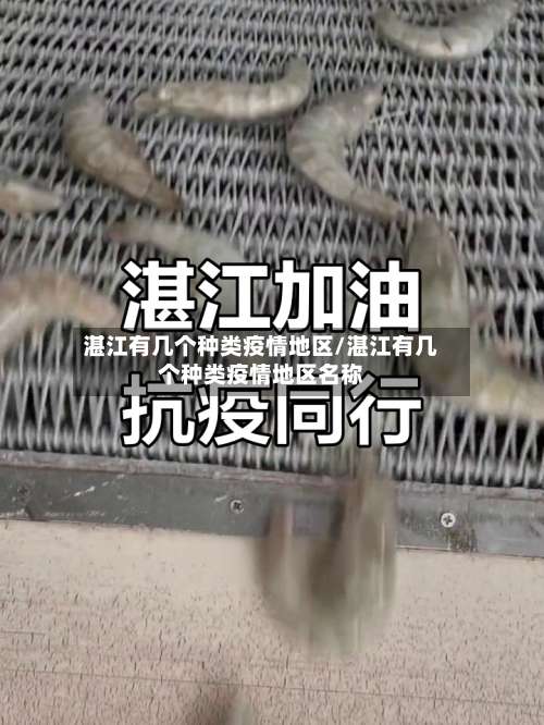 湛江有几个种类疫情地区/湛江有几个种类疫情地区名称-第1张图片