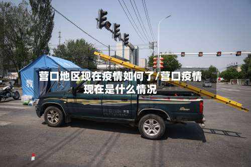 营口地区现在疫情如何了/营口疫情现在是什么情况-第3张图片