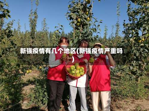 新强疫情有几个地区(新强疫情严重吗)-第3张图片