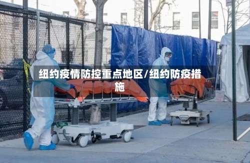 纽约疫情防控重点地区/纽约防疫措施-第2张图片