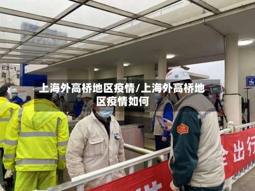 上海外高桥地区疫情/上海外高桥地区疫情如何-第2张图片