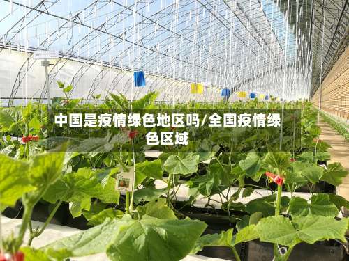 中国是疫情绿色地区吗/全国疫情绿色区域-第2张图片