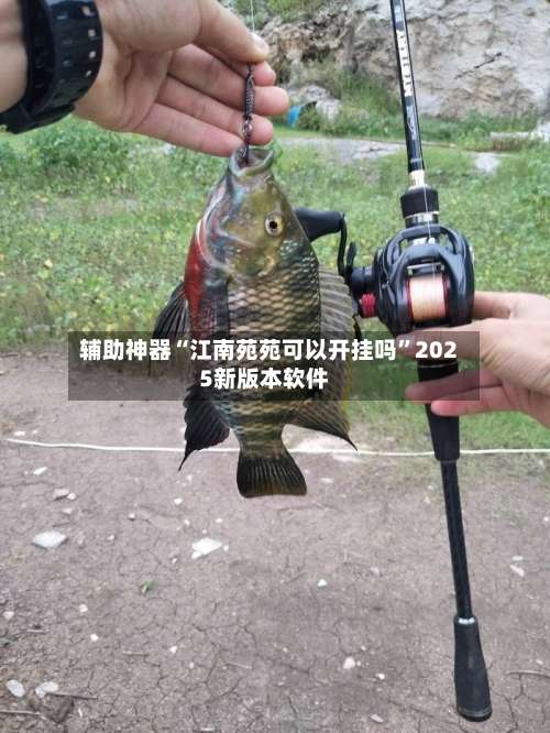 辅助神器“江南苑苑可以开挂吗”2025新版本软件-第3张图片