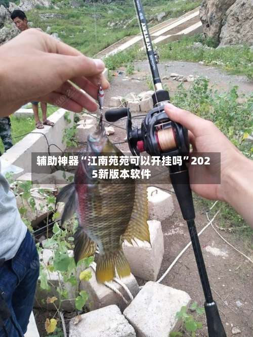 辅助神器“江南苑苑可以开挂吗”2025新版本软件-第1张图片