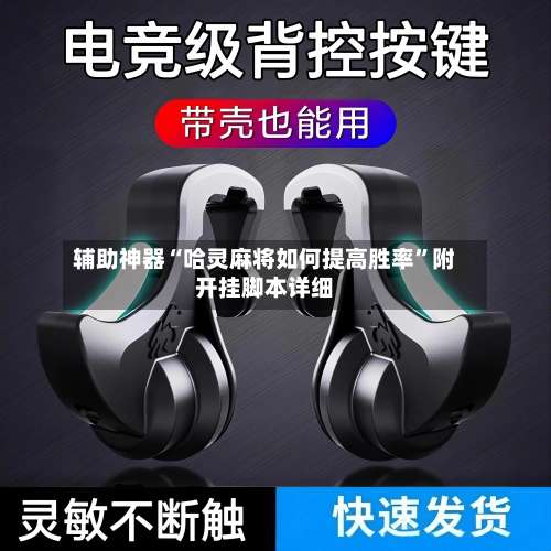 辅助神器“哈灵麻将如何提高胜率	”附开挂脚本详细-第2张图片