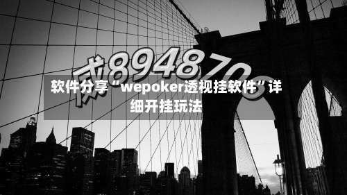 软件分享“wepoker透视挂软件”详细开挂玩法-第1张图片