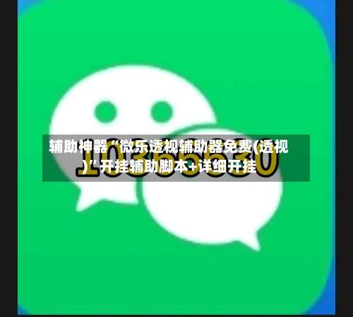 辅助神器“微乐透视辅助器免费(透视)”开挂辅助脚本+详细开挂-第2张图片