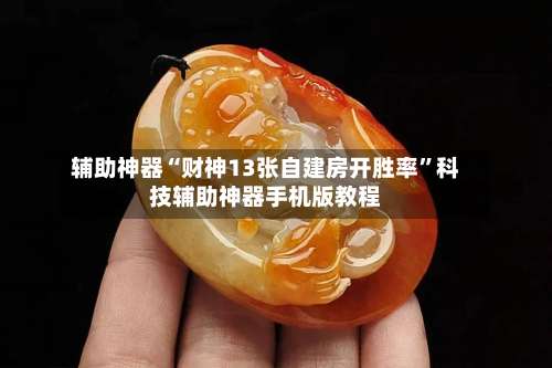 辅助神器“财神13张自建房开胜率”科技辅助神器手机版教程-第2张图片