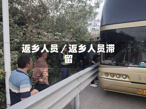 返乡人员／返乡人员滞留-第3张图片