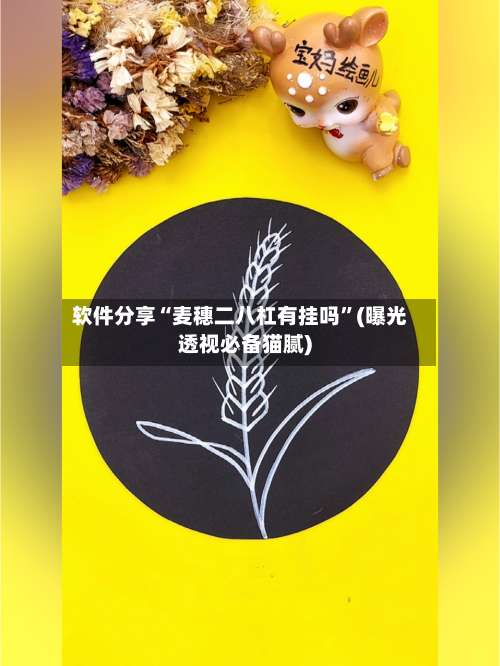 软件分享“麦穗二八杠有挂吗”(曝光透视必备猫腻)-第2张图片