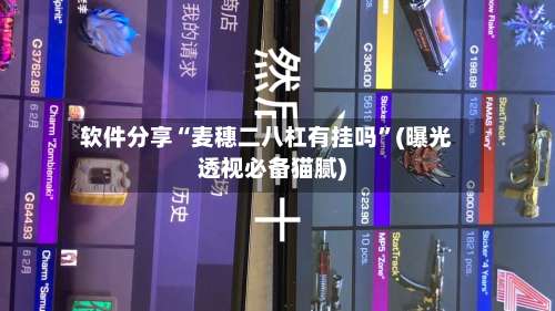 软件分享“麦穗二八杠有挂吗”(曝光透视必备猫腻)-第1张图片