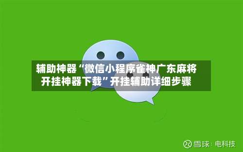 辅助神器“微信小程序雀神广东麻将开挂神器下载	”开挂辅助详细步骤-第2张图片