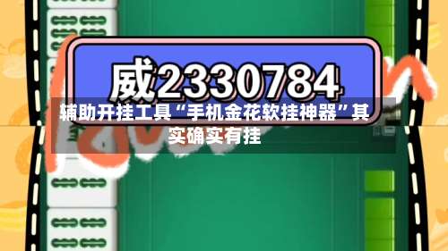 辅助开挂工具“手机金花软挂神器”其实确实有挂-第2张图片