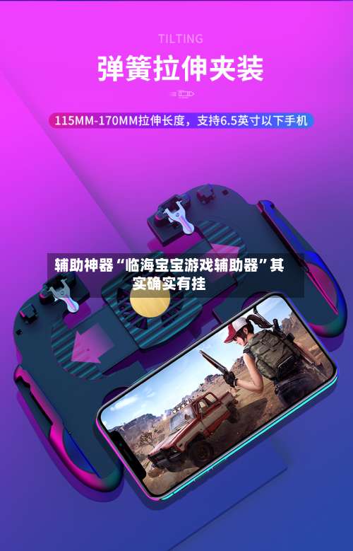 辅助神器“临海宝宝游戏辅助器”其实确实有挂-第1张图片