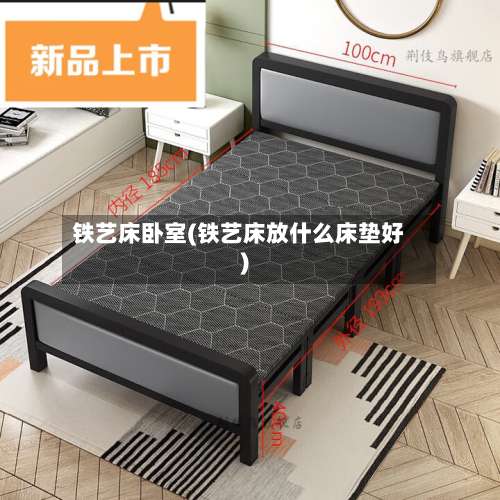 铁艺床卧室(铁艺床放什么床垫好)-第2张图片