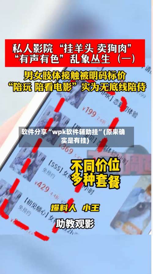 软件分享“wpk软件辅助挂”(原来确实是有挂)-第2张图片