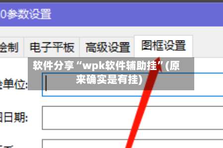 软件分享“wpk软件辅助挂	”(原来确实是有挂)-第3张图片