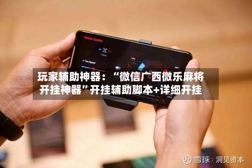 玩家辅助神器：“微信广西微乐麻将开挂神器”开挂辅助脚本+详细开挂-第2张图片