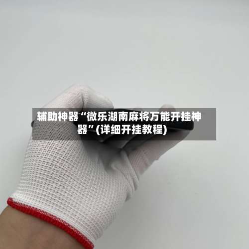 辅助神器“微乐湖南麻将万能开挂神器”(详细开挂教程)-第1张图片