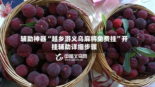 辅助神器“越乡游义乌麻将免费挂”开挂辅助详细步骤-第2张图片