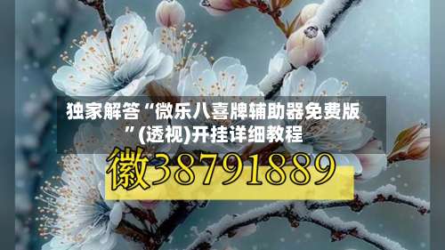 独家解答“微乐八喜牌辅助器免费版”(透视)开挂详细教程-第1张图片