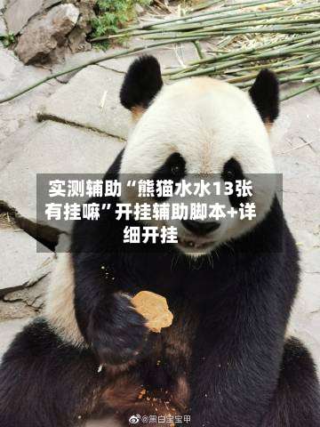 实测辅助“熊猫水水13张有挂嘛	”开挂辅助脚本+详细开挂-第1张图片