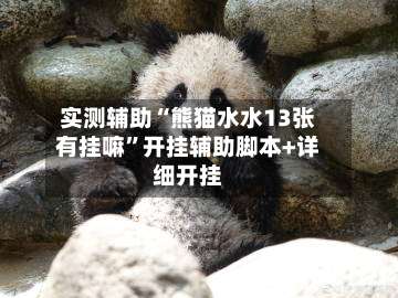实测辅助“熊猫水水13张有挂嘛”开挂辅助脚本+详细开挂-第2张图片