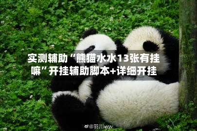 实测辅助“熊猫水水13张有挂嘛”开挂辅助脚本+详细开挂-第3张图片