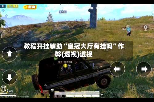 教程开挂辅助“皇冠大厅有挂吗”作弊(透视)透视-第1张图片