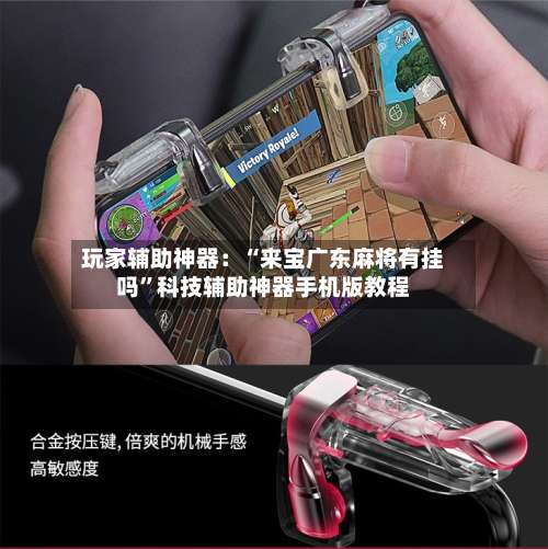 玩家辅助神器：“来宝广东麻将有挂吗”科技辅助神器手机版教程-第1张图片