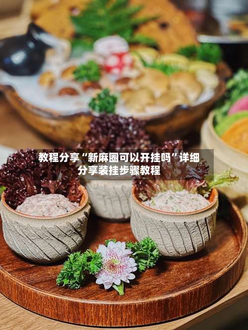 教程分享“新麻圈可以开挂吗”详细分享装挂步骤教程-第1张图片