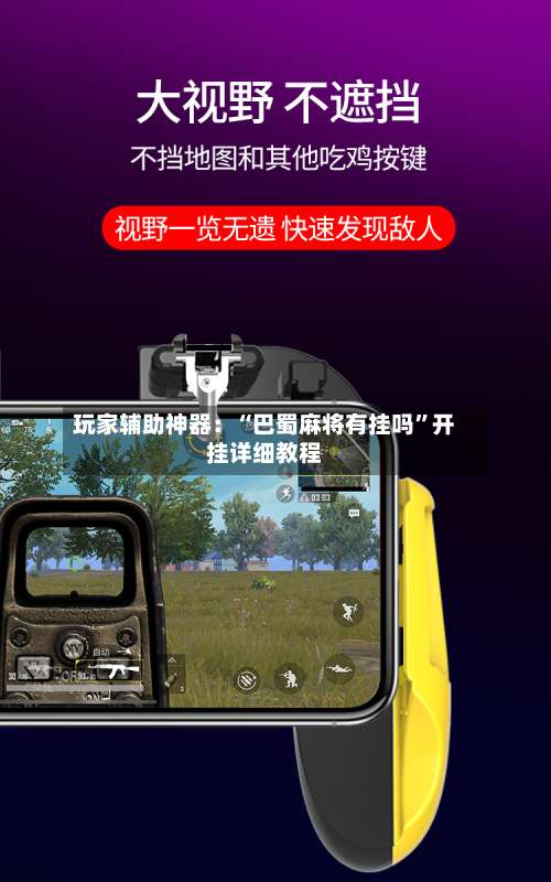 玩家辅助神器：“巴蜀麻将有挂吗”开挂详细教程-第1张图片