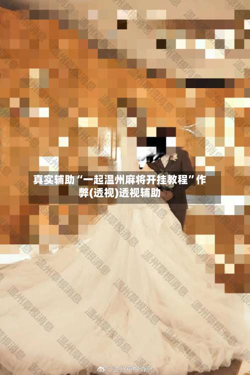 真实辅助“一起温州麻将开挂教程”作弊(透视)透视辅助-第3张图片