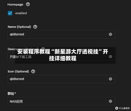 安装程序教程“新星游大厅透视挂”开挂详细教程-第1张图片