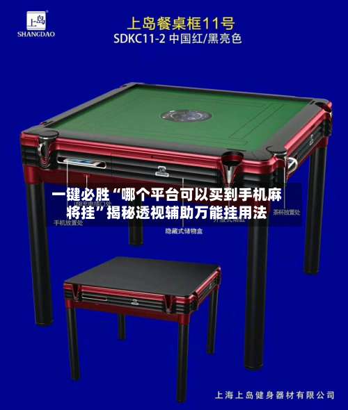 一键必胜“哪个平台可以买到手机麻将挂”揭秘透视辅助万能挂用法-第3张图片