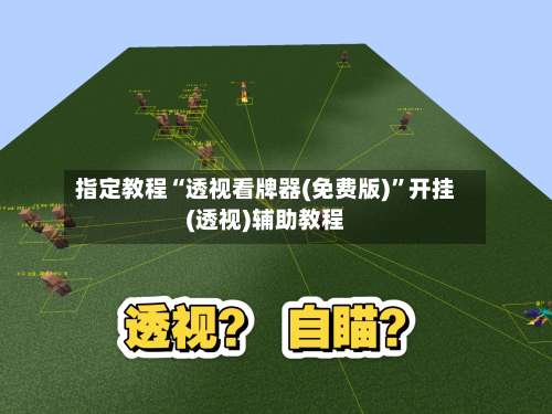 指定教程“透视看牌器(免费版)	”开挂(透视)辅助教程-第1张图片