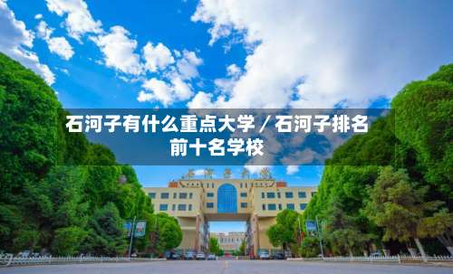 石河子有什么重点大学/石河子排名前十名学校-第2张图片