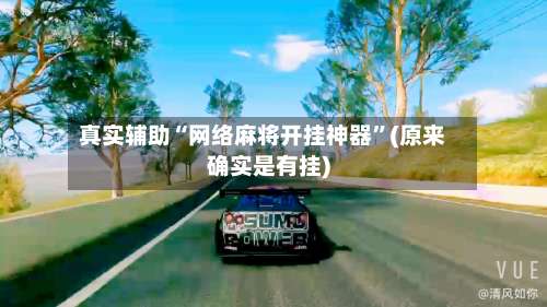 真实辅助“网络麻将开挂神器”(原来确实是有挂)-第1张图片